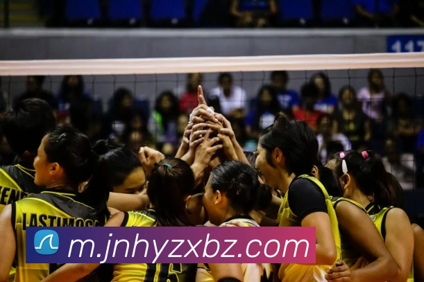 App Interface Preview